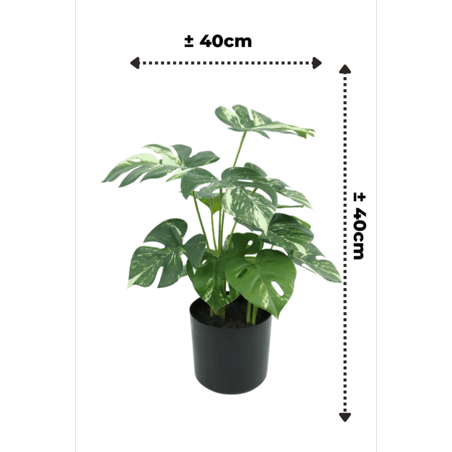 Monstera Kunstplant 40cm - Afbeelding 3