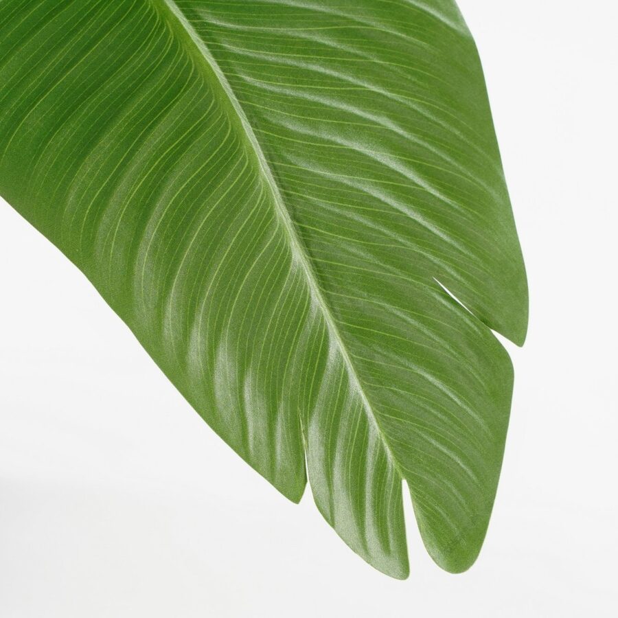 Kunstplant Bananenboom in Pot - H180 x Ø30 cm - Groen - Afbeelding 3