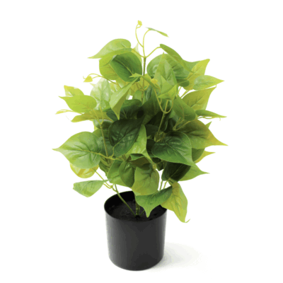 Dieffenbachia Kunstplant 45cm