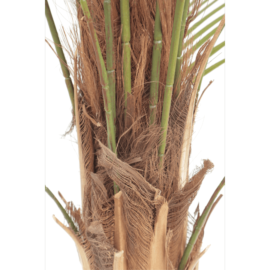 Kunstpalm 150cm - Afbeelding 6