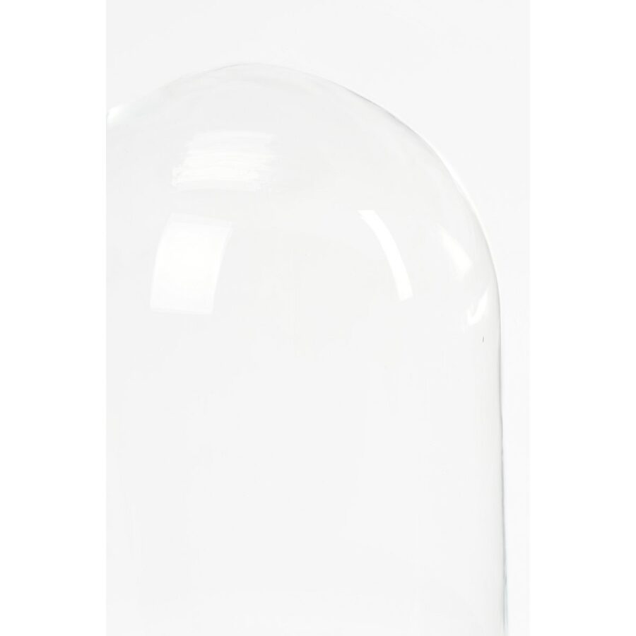 Hella Glazen Stolp - H23 x Ø17 cm - Transparant, Zwart - Afbeelding 2