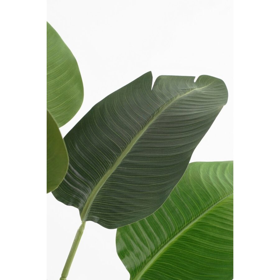 Kunstplant Bananenboom in Pot - H180 x Ø30 cm - Groen - Afbeelding 2