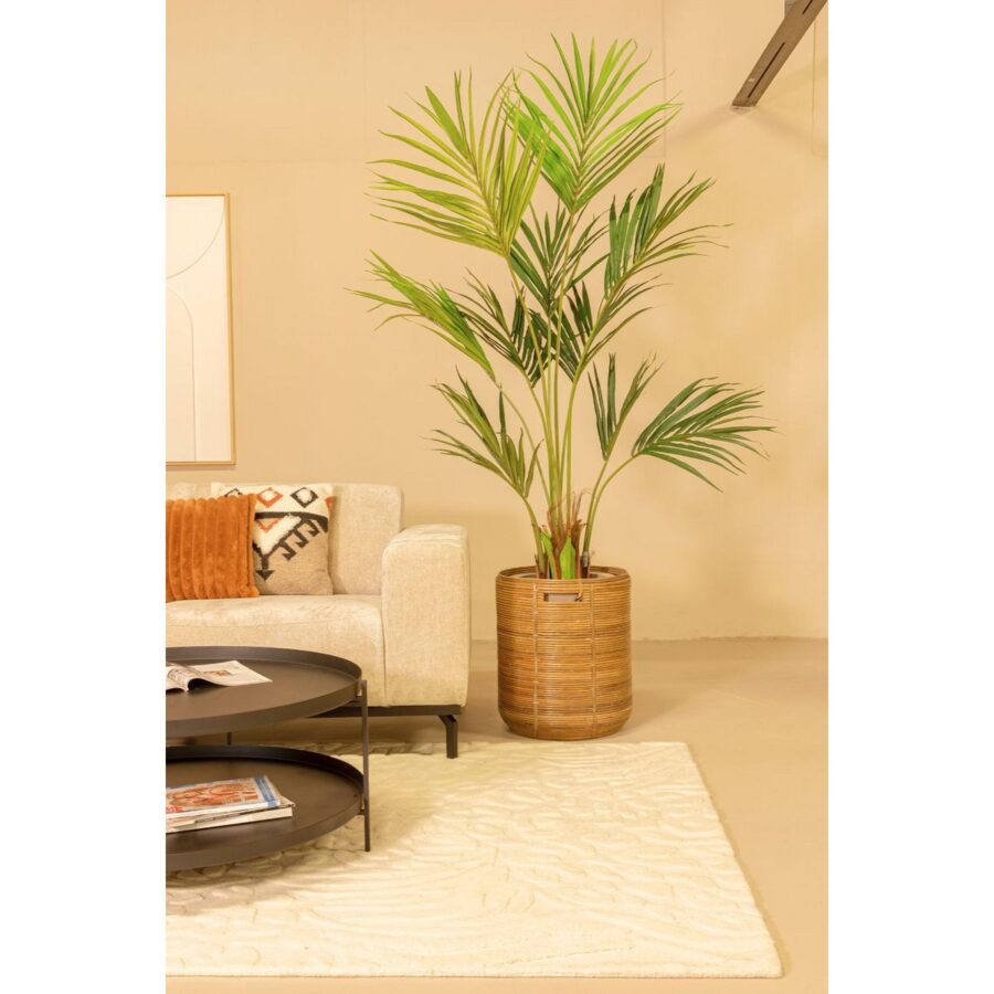 Kentia Kunstpalm 180cm - Afbeelding 3