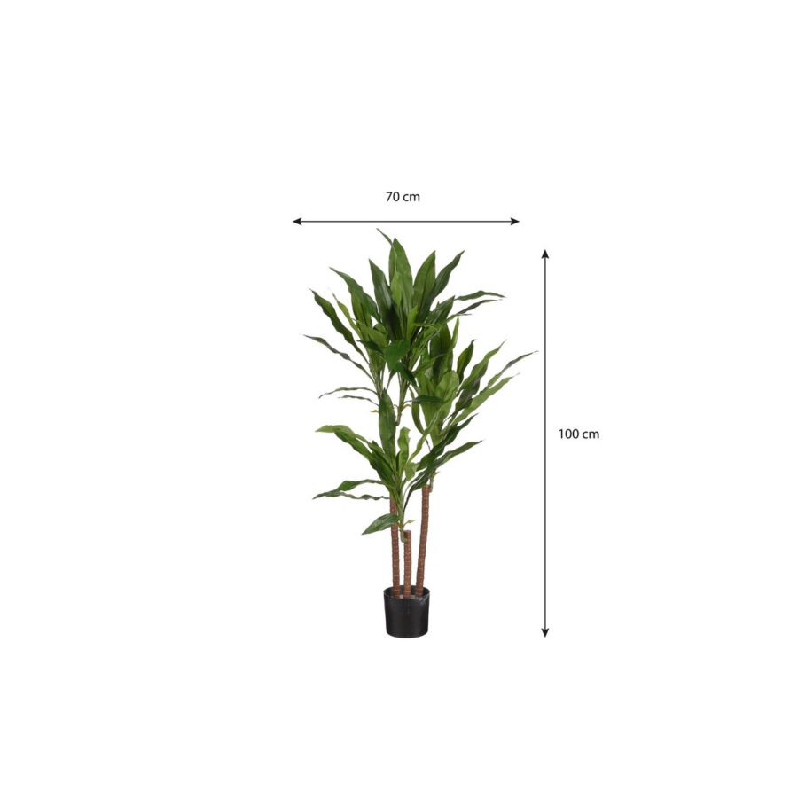 Dracaena Kunstplant - H100 x Ø70 cm - Afbeelding 6