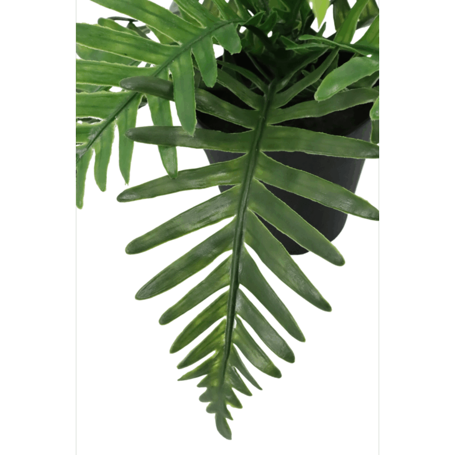 Pteris Kunstplant 20cm - Afbeelding 2