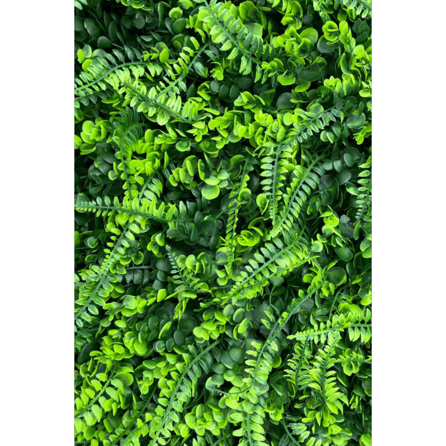 Kunsthaag Varen/Buxus 60x40cm - Afbeelding 2