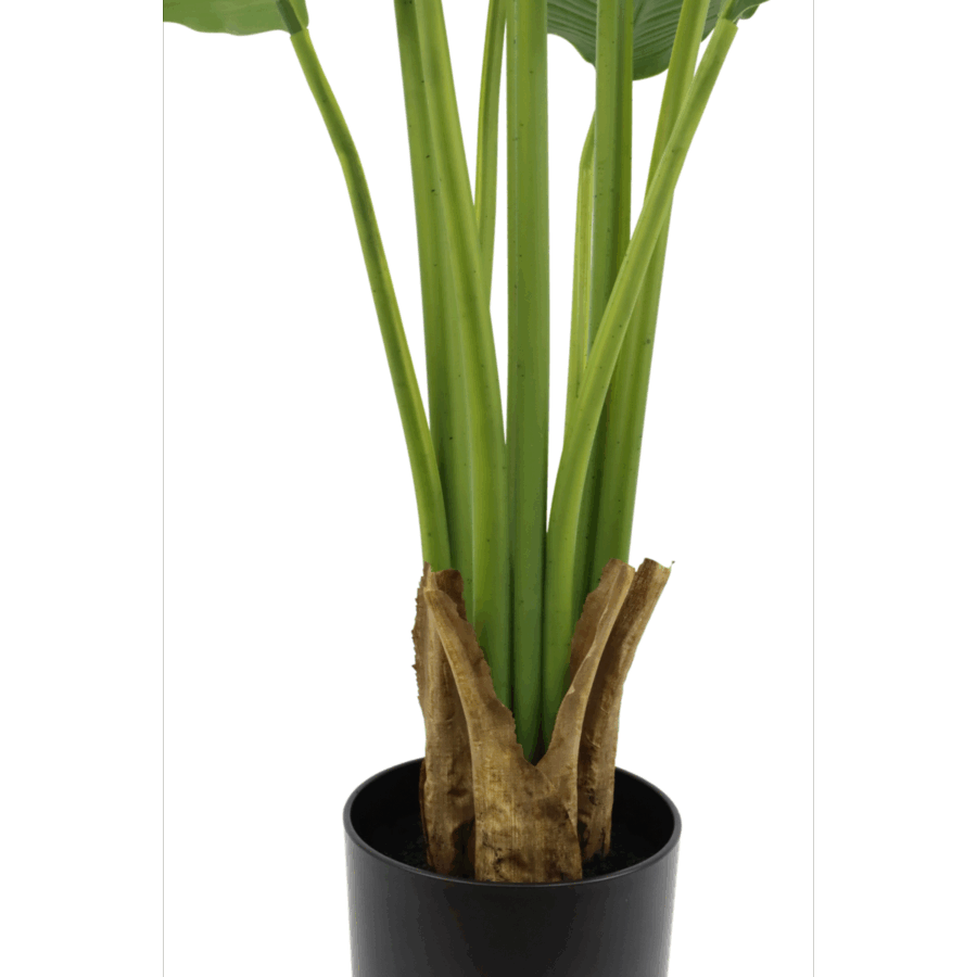 Strelitzia Kunstplant 120cm - Afbeelding 5