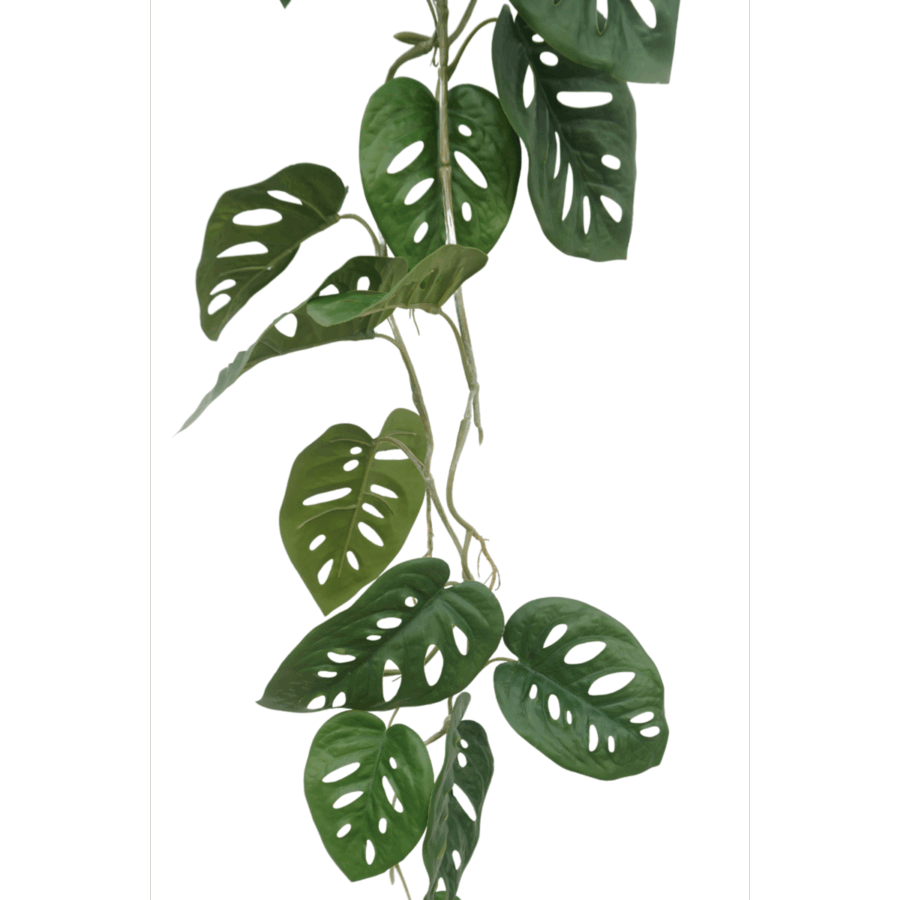 Monstera Monkey Bush Kunstslinger 120cm (Guirlande) - Afbeelding 4