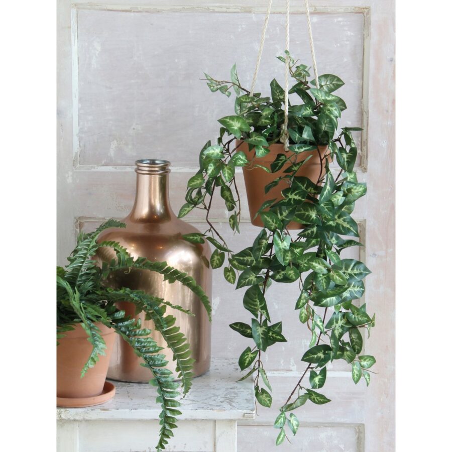 Fittonia Kunst Hangplant - L15 x B30 x H80 cm - Groen - Afbeelding 4