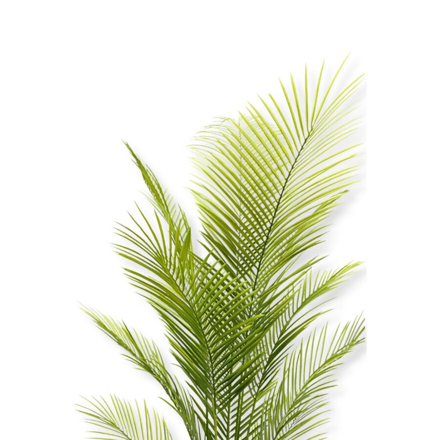 Kunstpalm 180cm - Afbeelding 4