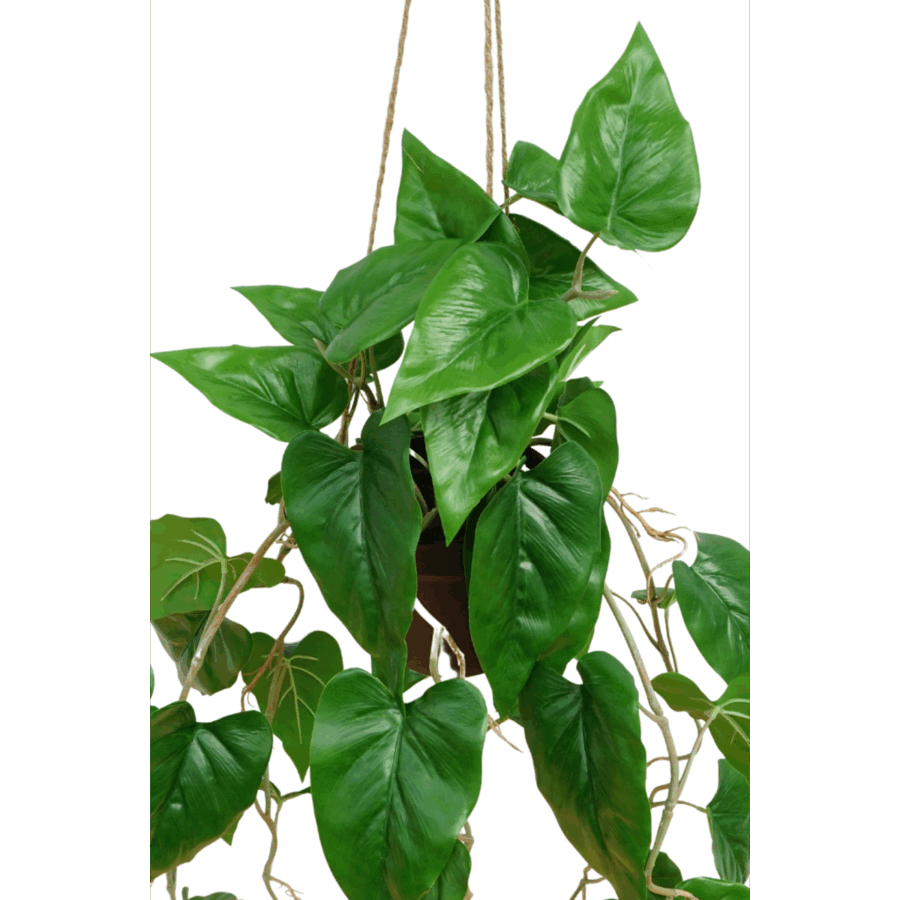 Anthurium Kunst Hangplant 95cm - Afbeelding 4