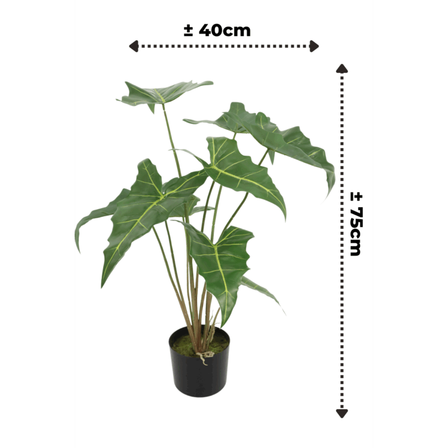 Alocasia Kunstplant 75cm - Afbeelding 3