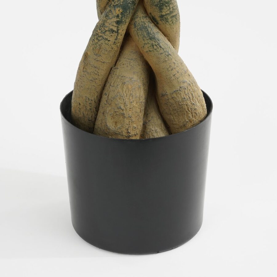 Pachira Kunstplant - H150 x Ø65 cm - Groen - Afbeelding 5