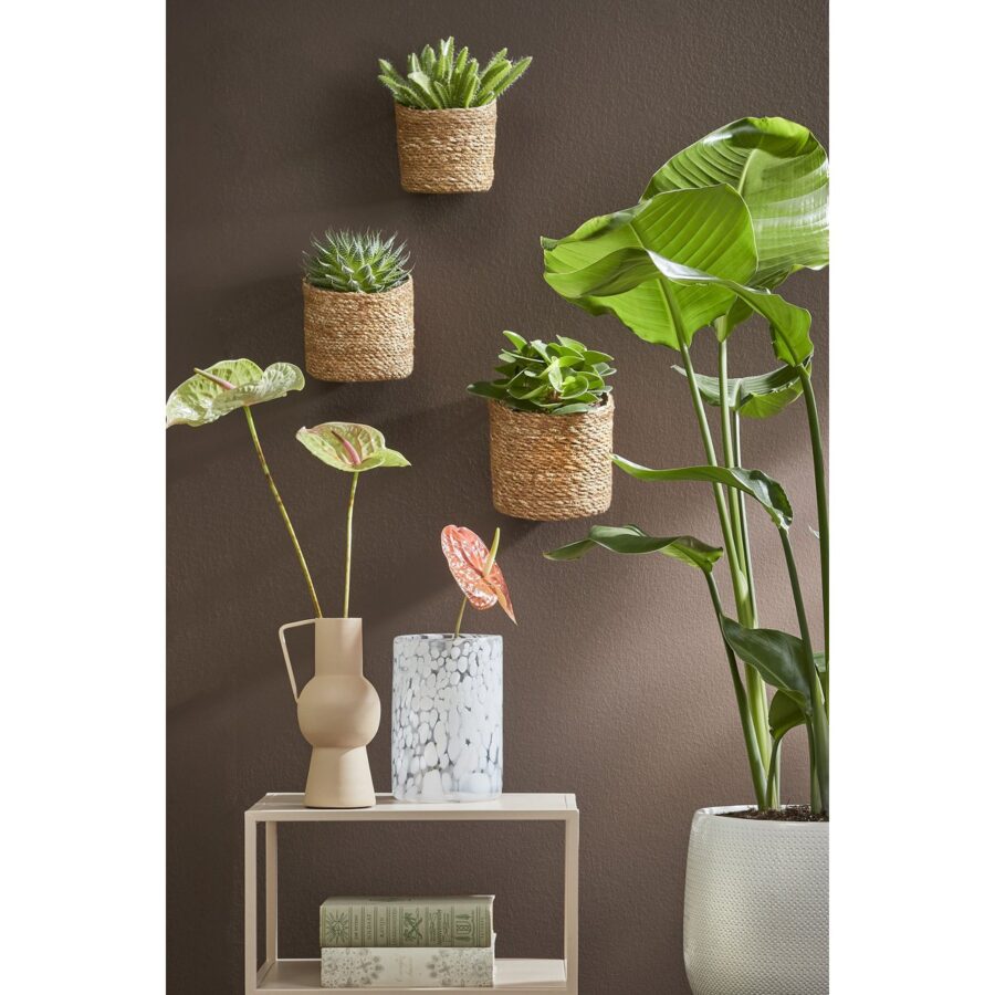 Atlantic Hangende Bloempot - Set van 3 - H16 x Ø16 cm - Lichtbruin - Afbeelding 6