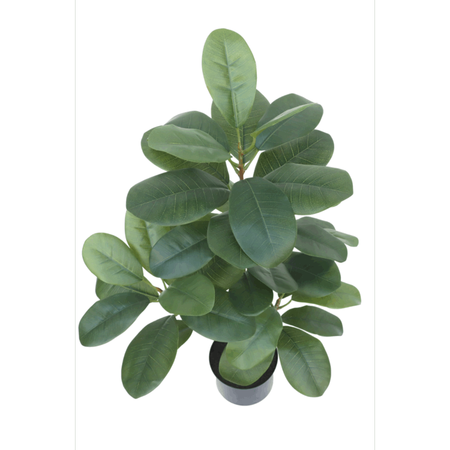 Ficus Kunstplant 80cm - Afbeelding 5