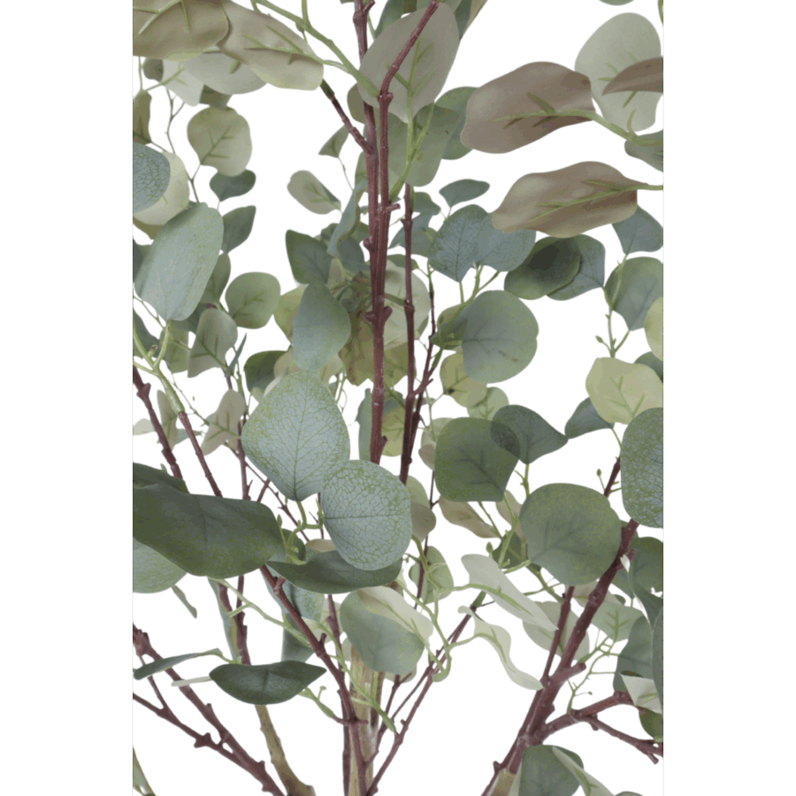 Eucalyptus Kunstboom 160cm - Afbeelding 6