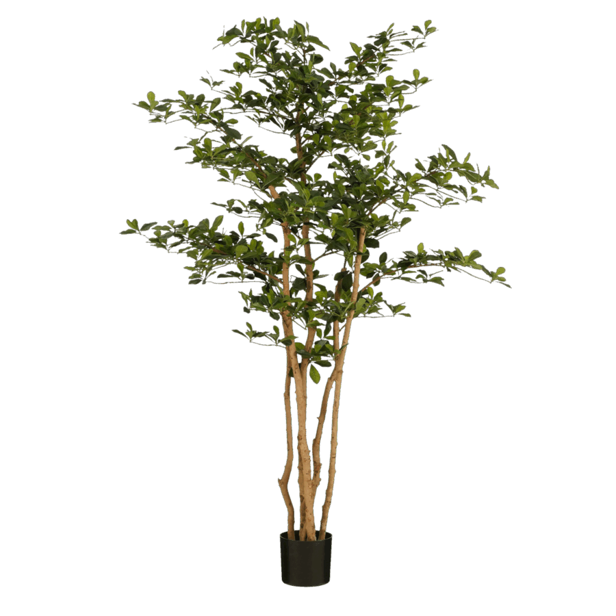 Kunstplant Olijfboom in Pot - H183 x Ø130 cm - Groen