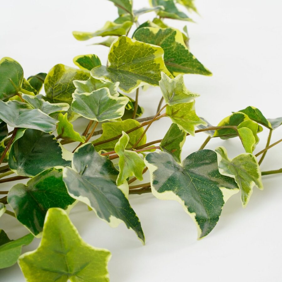Hedera Kunst Hangplant - H71 cm - Groen Bont - Afbeelding 2