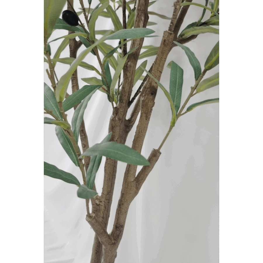 Kunst Olijfboom 150cm - Afbeelding 4