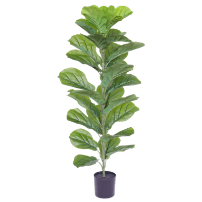 Ficus Kunstplant 100cm