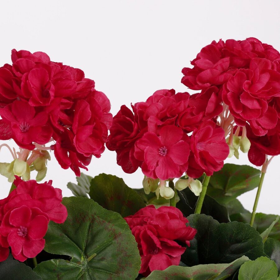 Geranium Kunstplant in Balkonbak - L29 x B13 x H40 cm - Donkerroze - Afbeelding 2