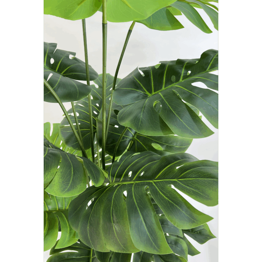 Monstera Kunstplant 165cm - Afbeelding 2