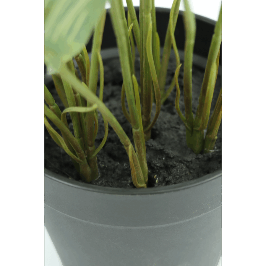 Maranta Kunstplant 40cm - Afbeelding 6