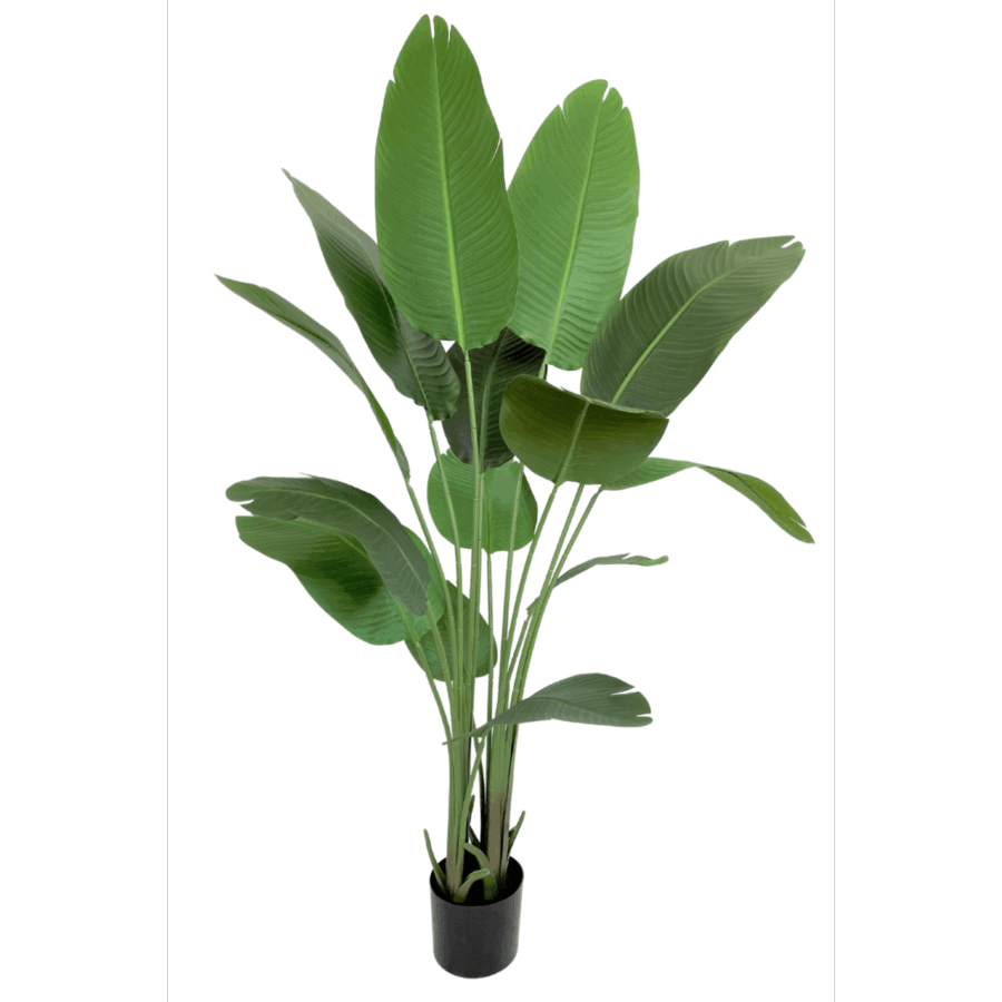 Strelitzia Kunstplant 160cm - Afbeelding 2