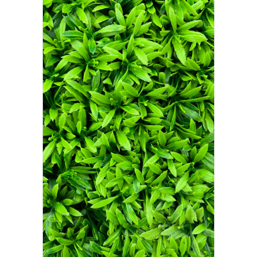 Kunsthaag Groen 50x50cm UV - Afbeelding 2