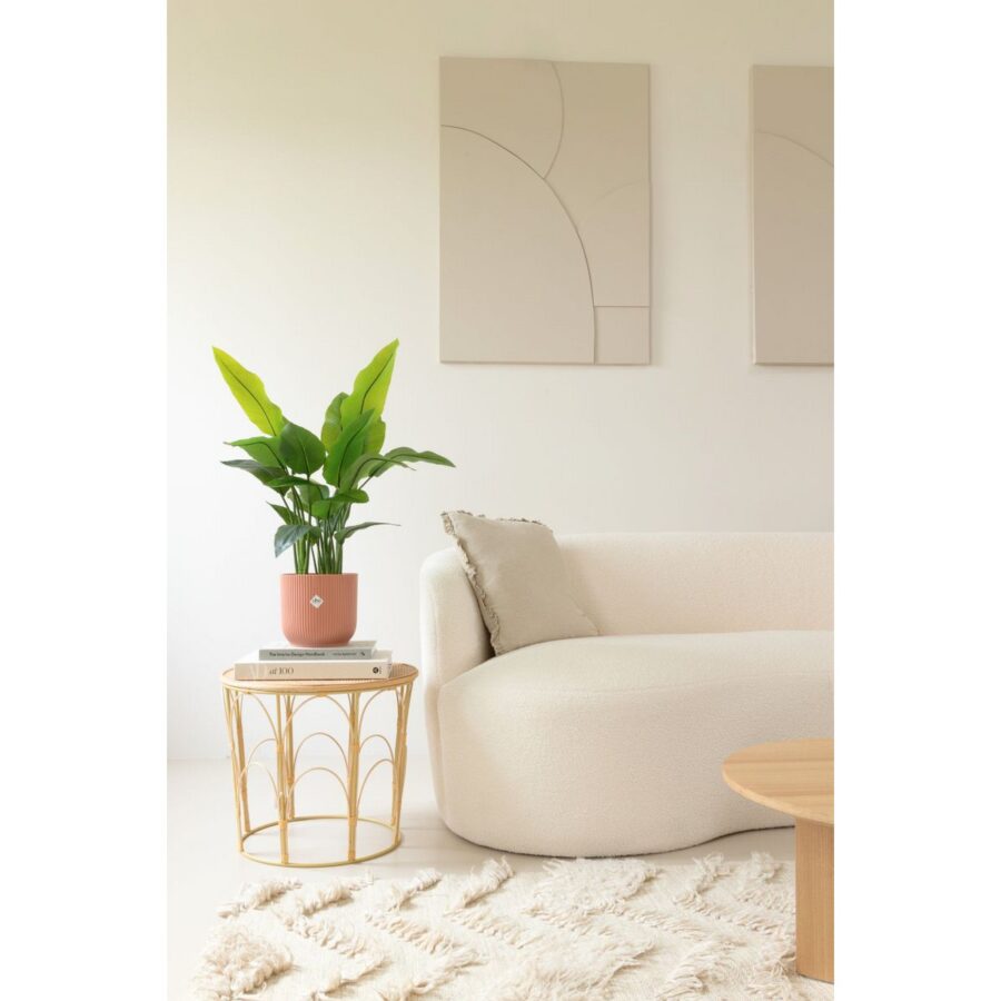 Strelitzia Kunstplant 70cm - Afbeelding 4