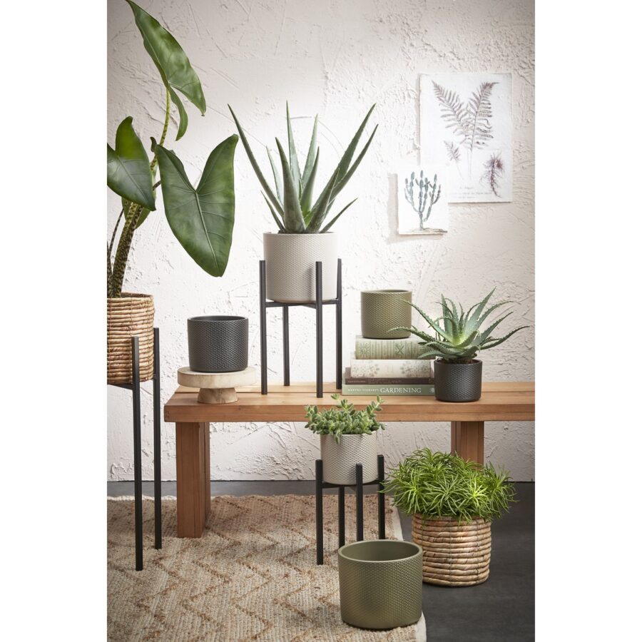 Ascot Plantenstandaard - L24 x B24 x H55 cm - Metaal - Zwart - Afbeelding 6