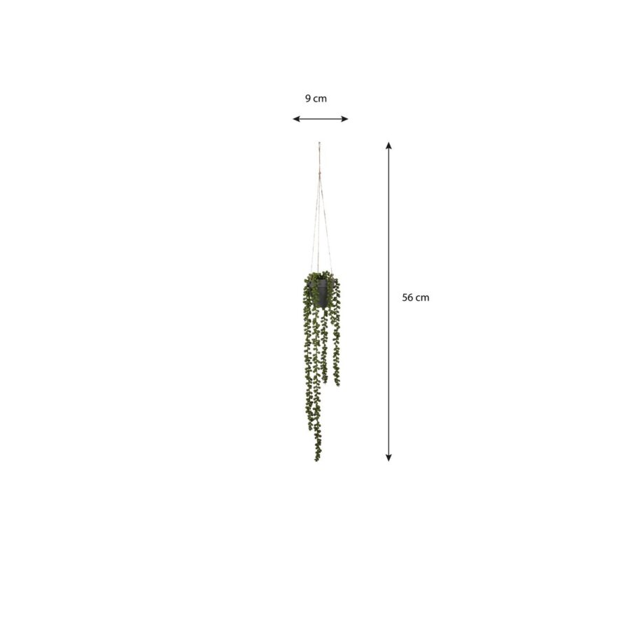 Senecio Kunst Hangplant - H56 x Ø9 cm - Groen - Afbeelding 4