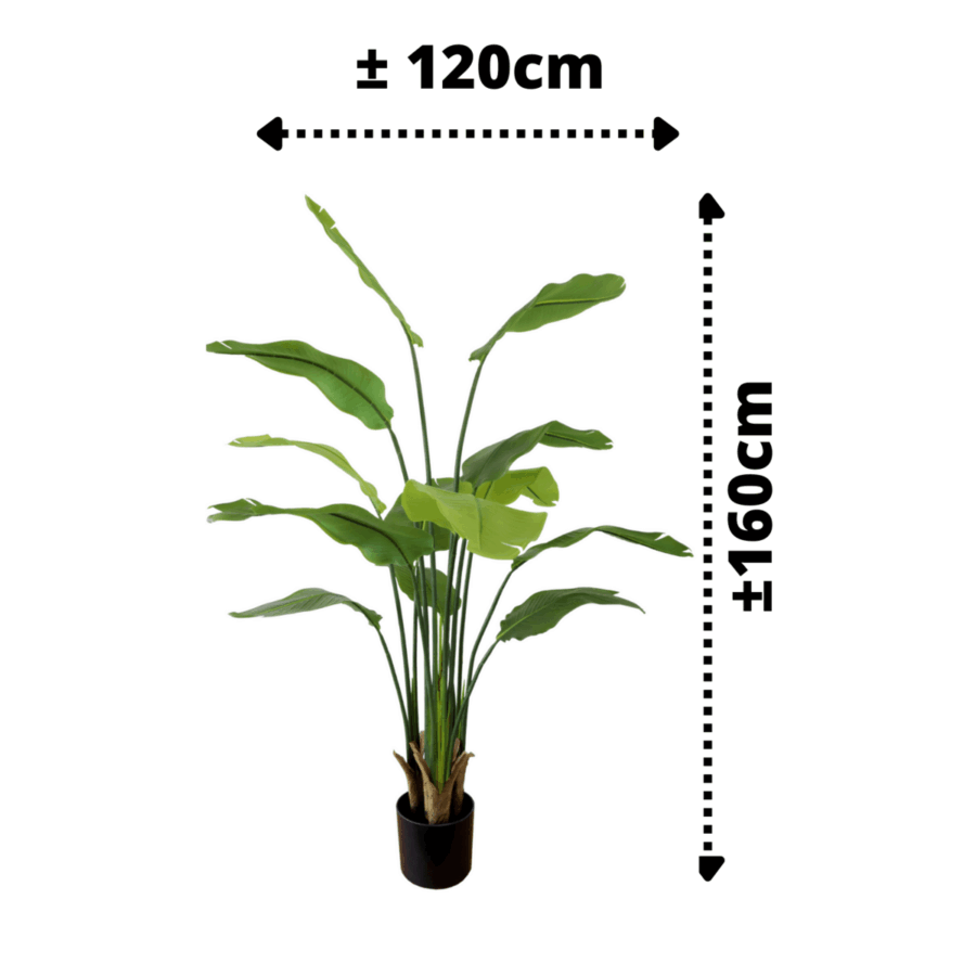 Strelitzia Kunstplant 160cm - Afbeelding 4
