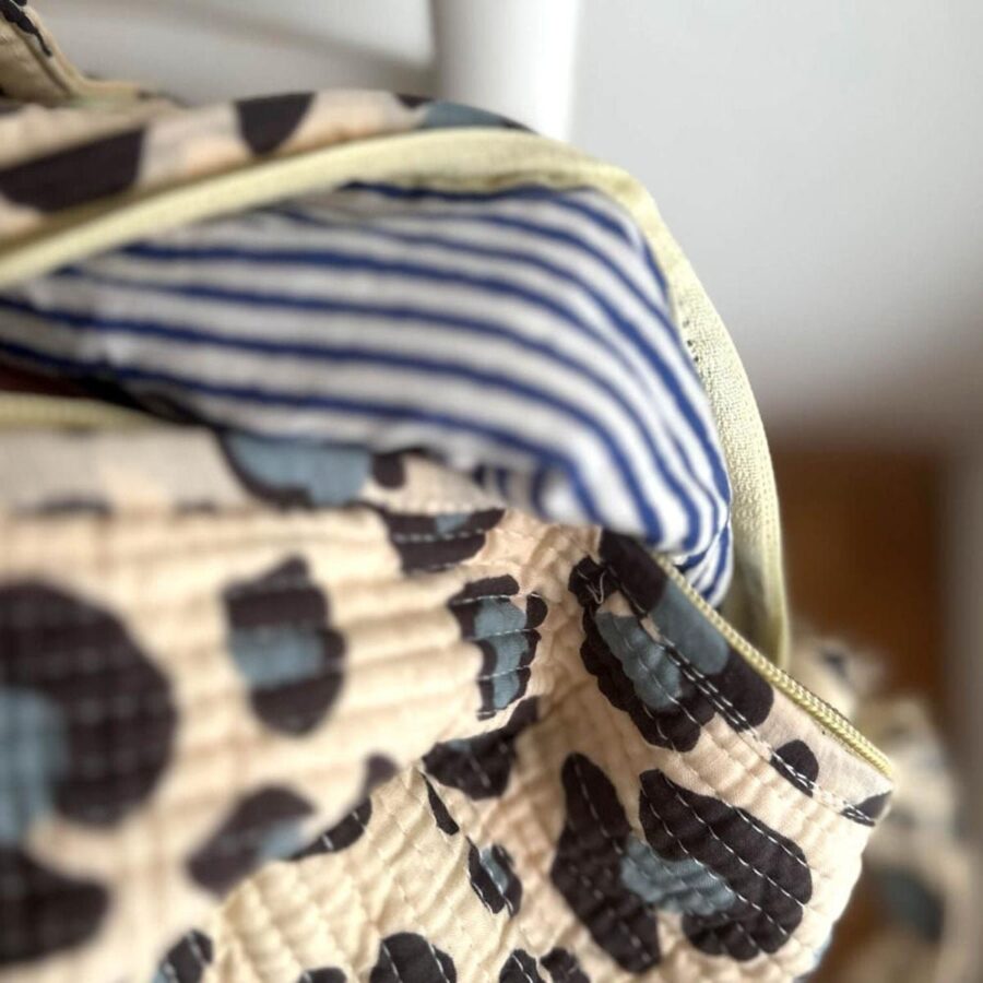 Grote reistas "Blue Leo" - Afbeelding 5