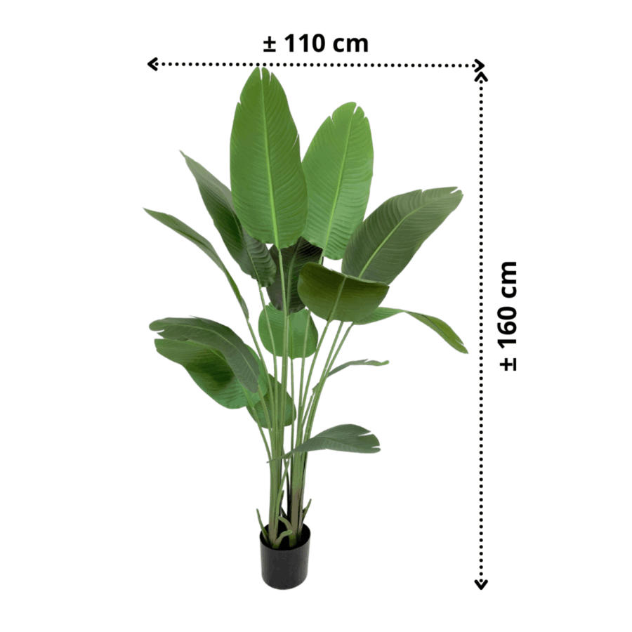 Strelitzia Kunstplant 160cm - Afbeelding 4