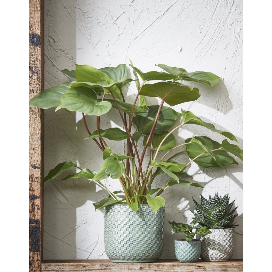 Daan Bloempot - H18 x Ø19 cm - Groen - Afbeelding 5