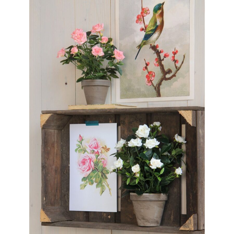 Rozenstruik Kunstplant in Bloempot Stan - H33 x Ø25 cm - Wit - Afbeelding 6