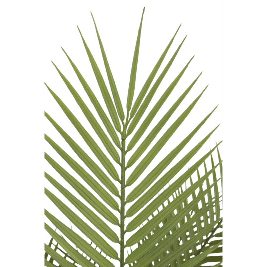 Kunstpalm 150cm - Afbeelding 4