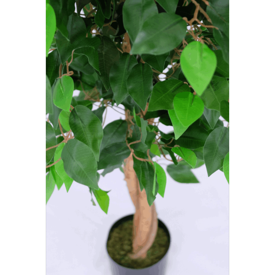 Kunst Ficus 130cm - Afbeelding 4