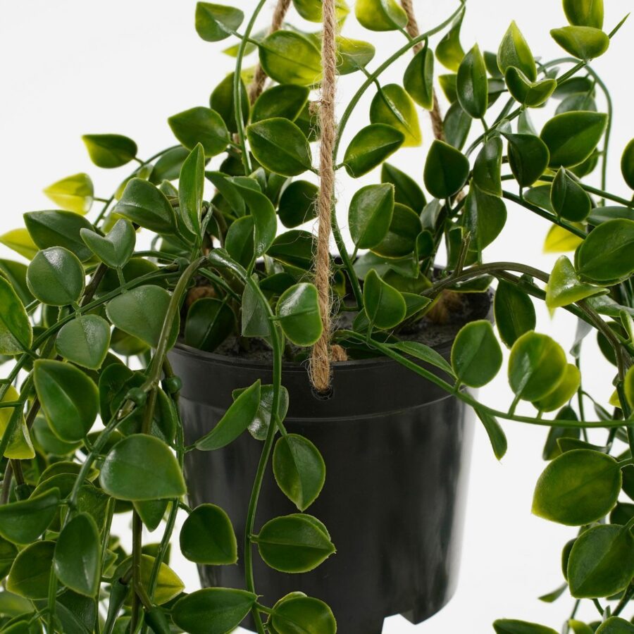 Ficus Kunst Hangplant in Pot - H46 x Ø20 cm - Groen - Afbeelding 4