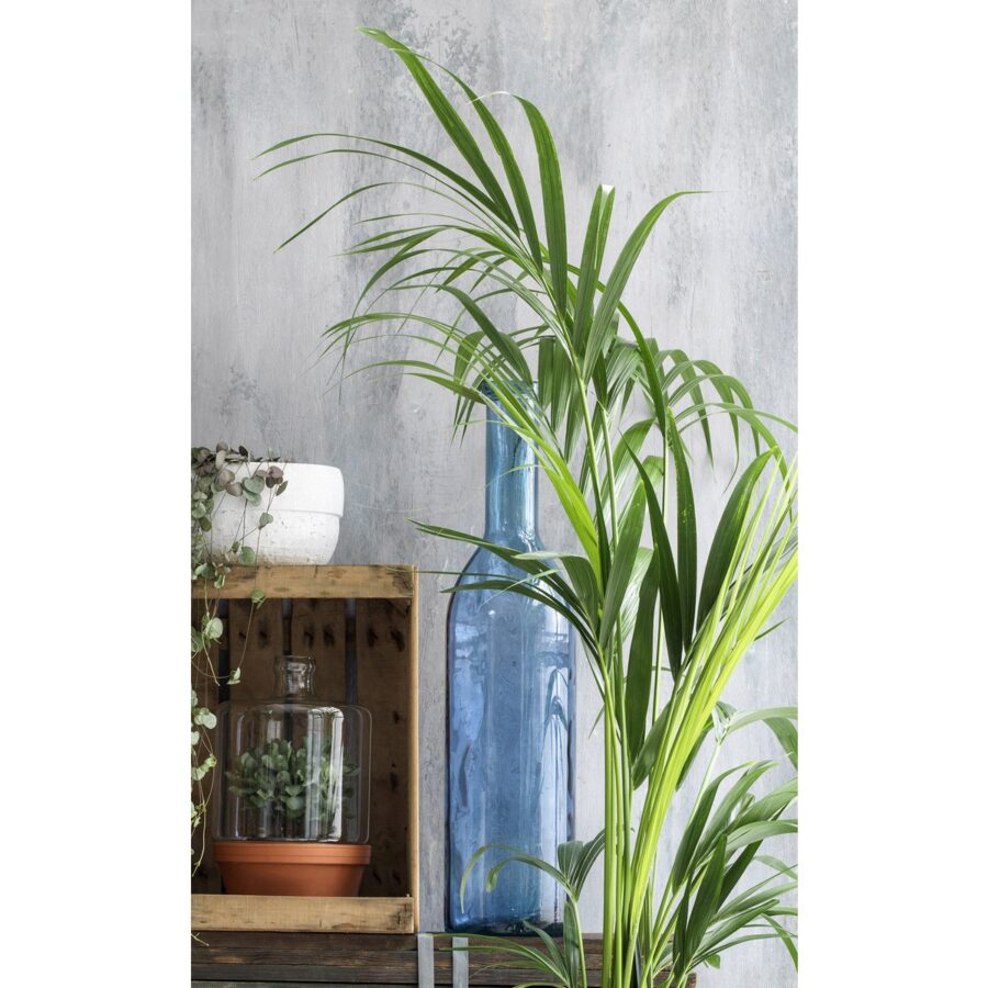 Rioja Fles Vaas - H50 x Ø15 cm - Gerecycled Glas - Lichtblauw - Afbeelding 5
