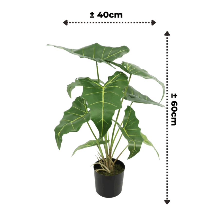 Alocasia Kunstplant 60cm - Afbeelding 3